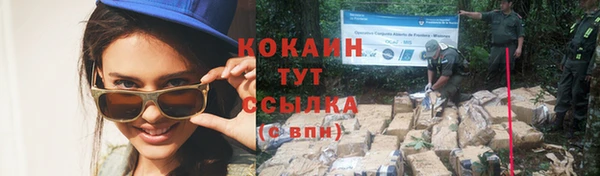 мяу мяу мука Заводоуковск