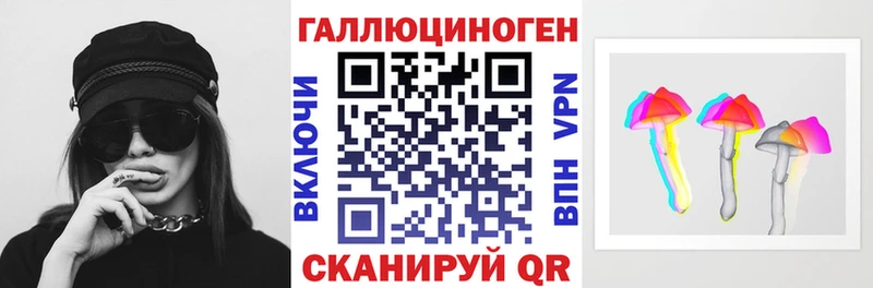 Купить  Киржач  Псилоцибиновые грибы MAGIC MUSHROOMS 